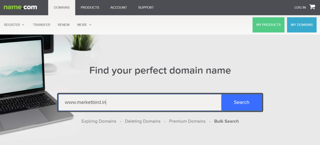 Domain Names Beginners Guide Market Bird Blog