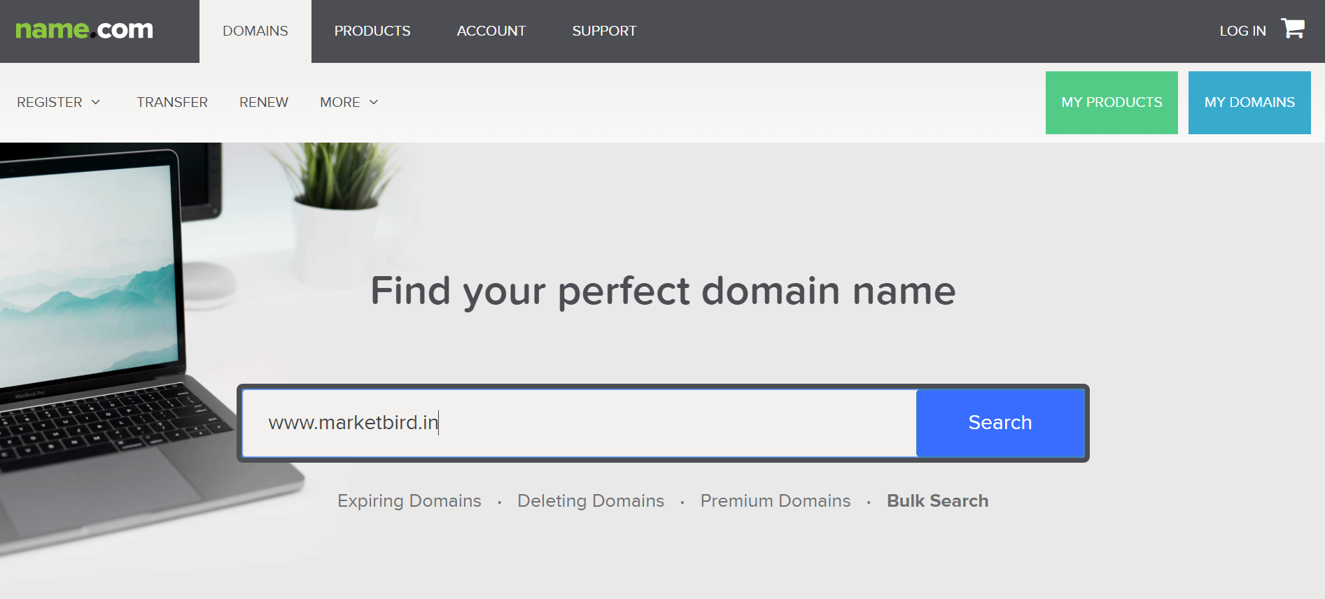 Domain Names Search