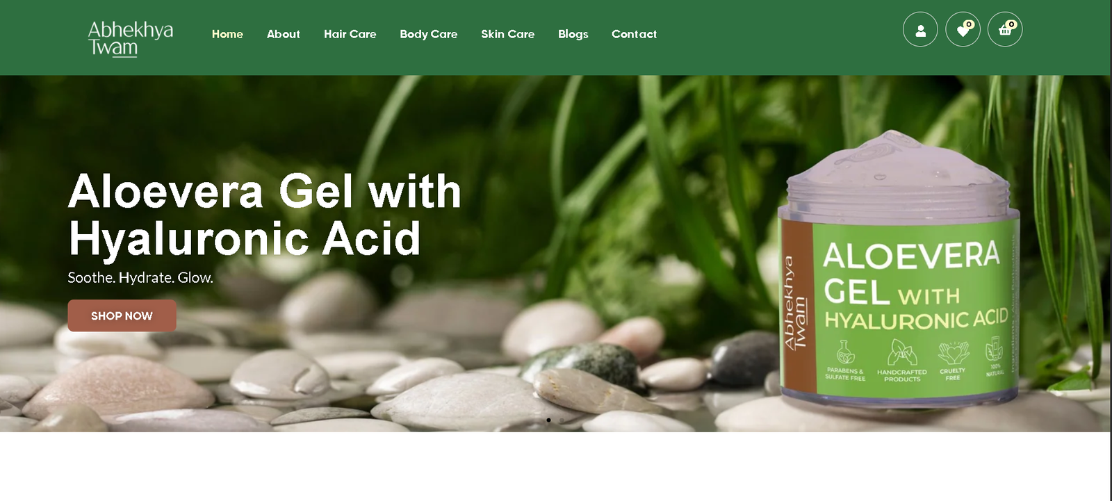 E-commerce storefront website