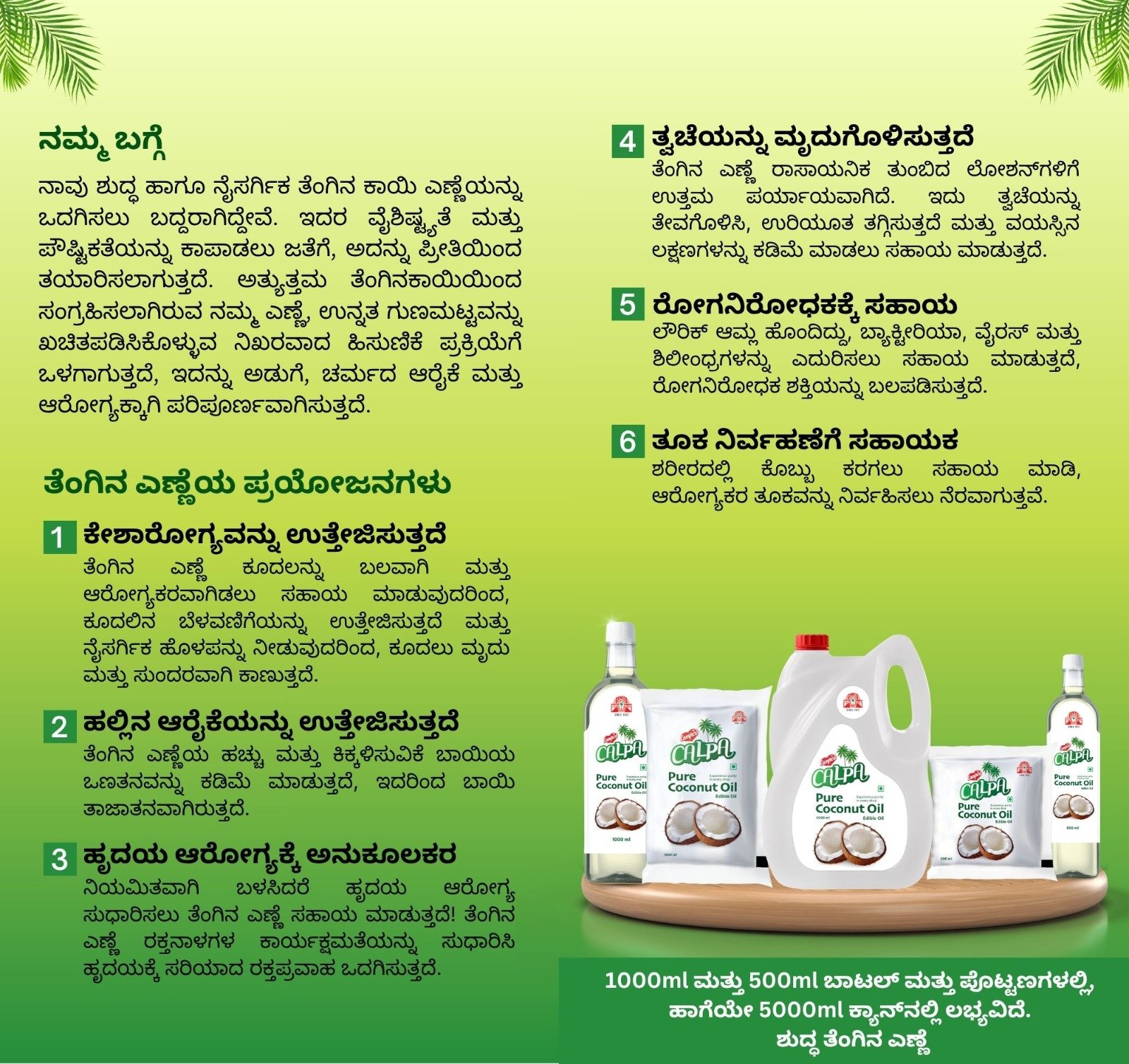 Campco brochure design, page 2